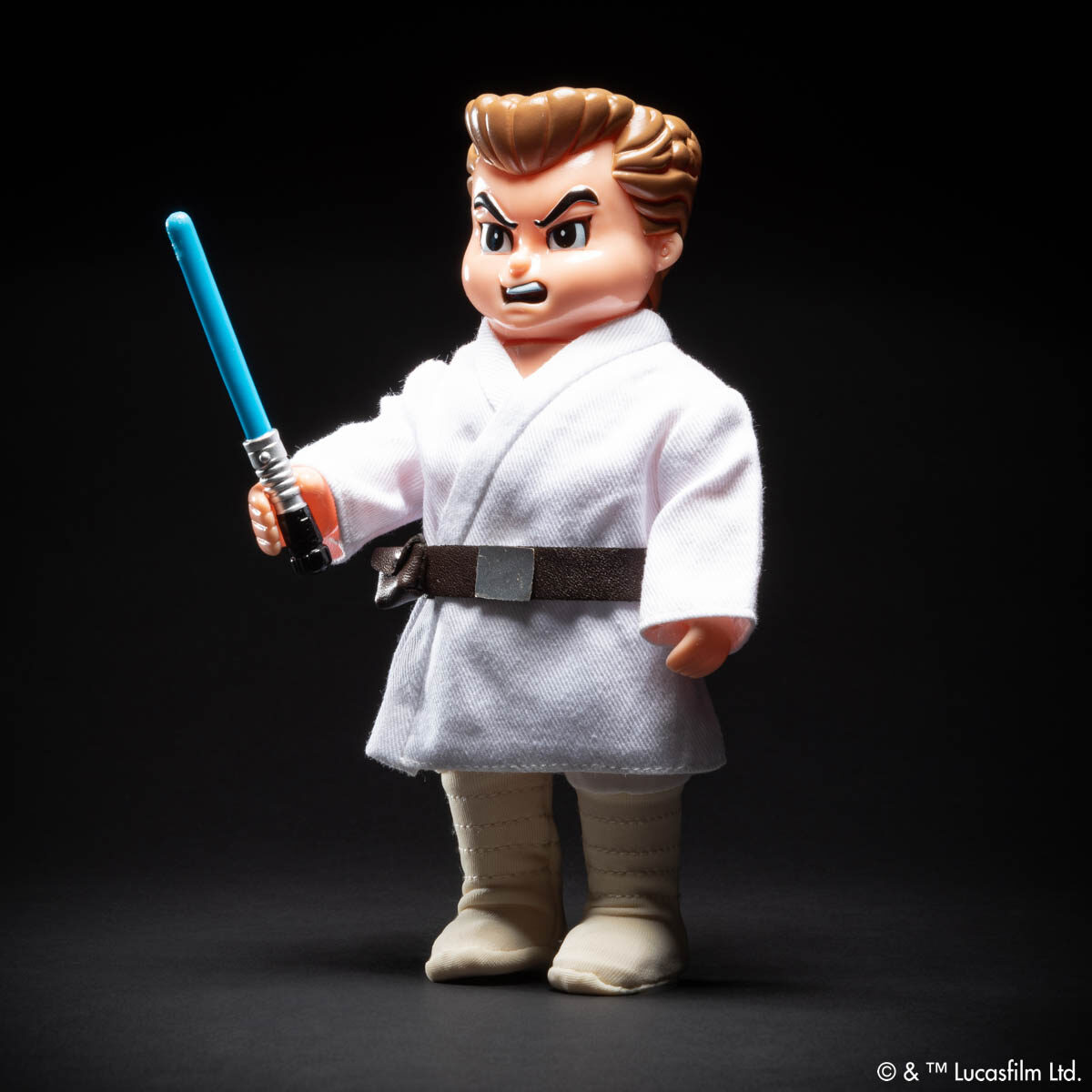 GOCCODO – STAR WARS KIAIDA-KUN [Luke Skywalker] GOCCODO exclusive